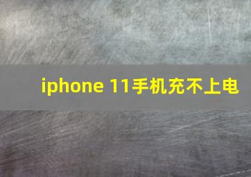 iphone 11手机充不上电